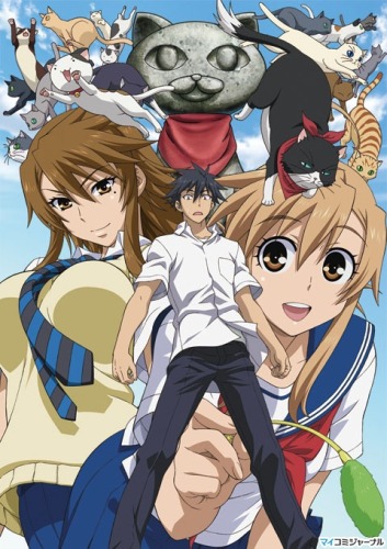 Nyan Koi! [BD]